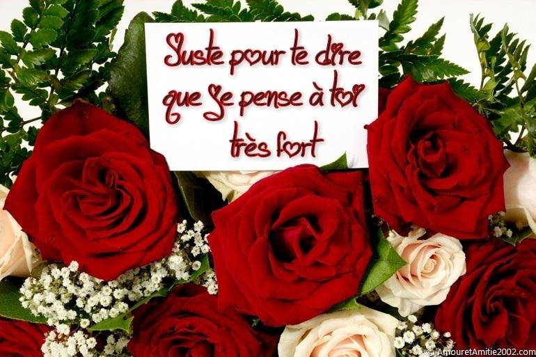 Les cartes postales Je pense à toi Amour et Amitié