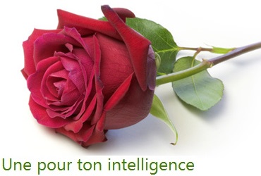 bonne fête du jour
