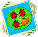 jeu de casino : Lady luck