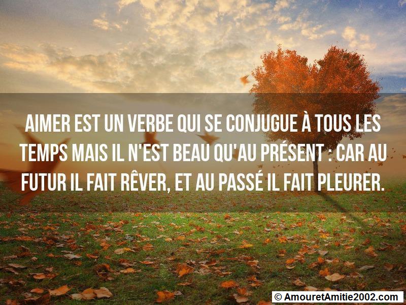 citation d'amour 32