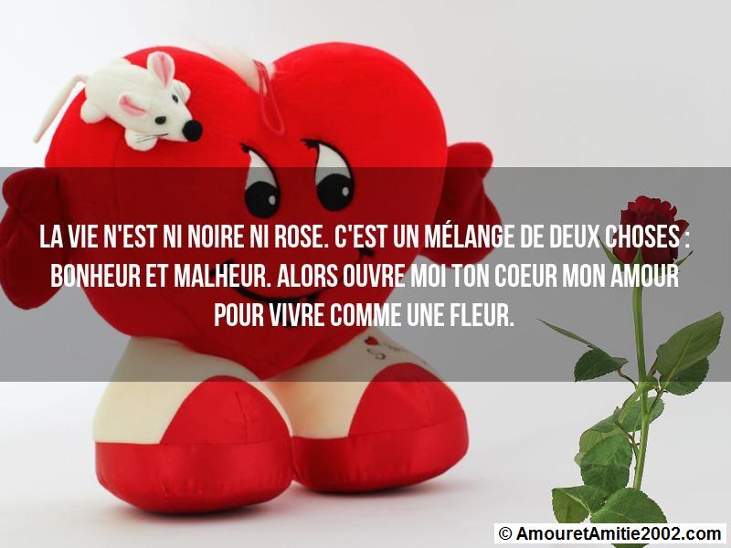 message amour 100