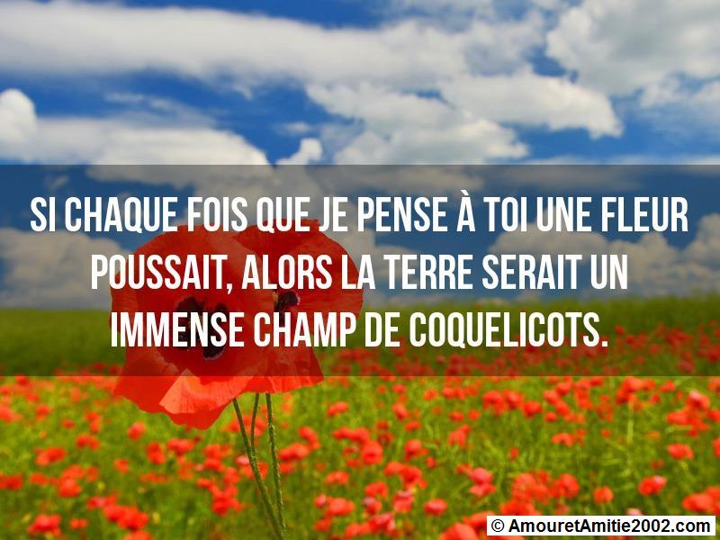 message amour 156