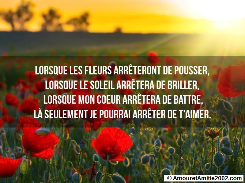 proverbe d'amour 145