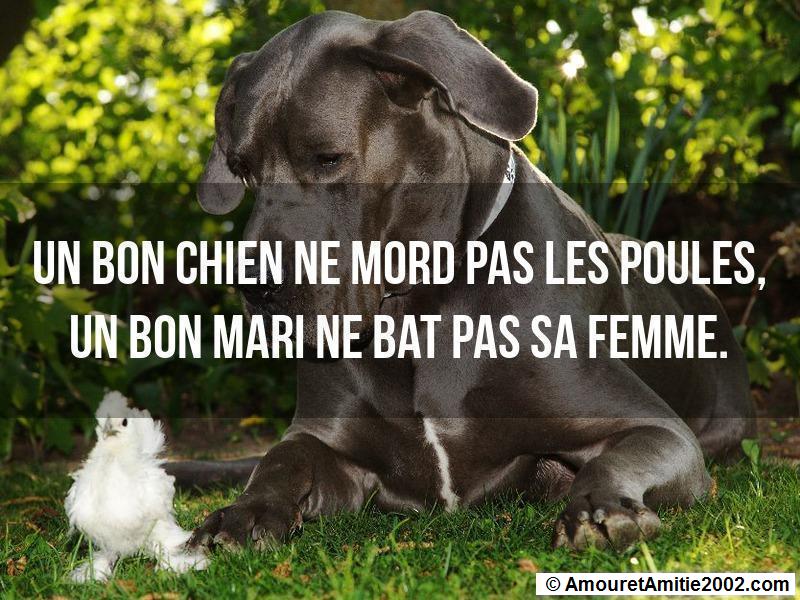 proverbe d'amour 164