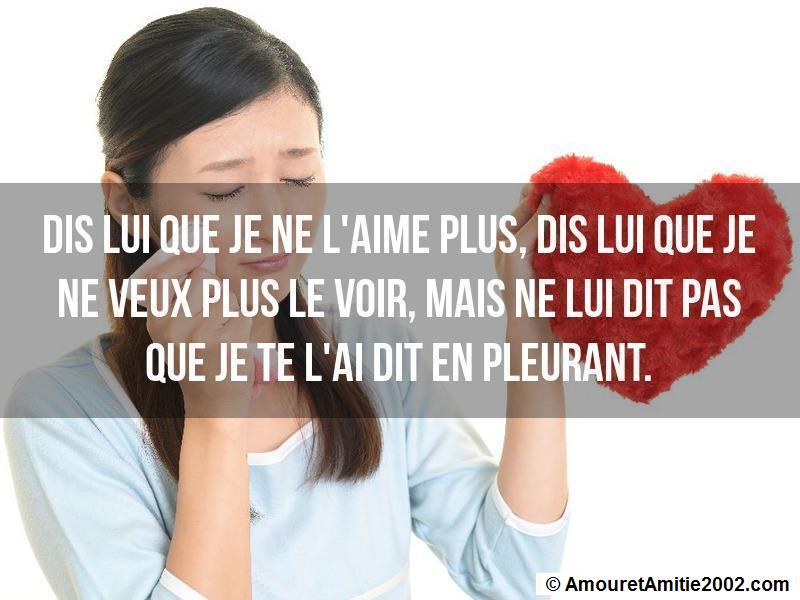 Proverbe amour Dis lui que je ne l