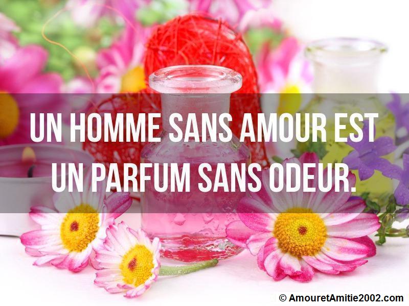 proverbe d'amour 211