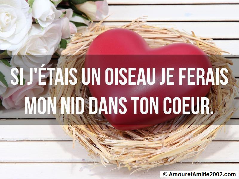 proverbe d'amour 214