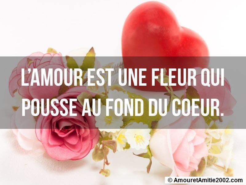proverbe amour 244