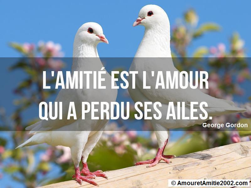 proverbe amour 272