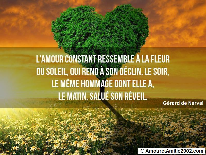 proverbe amour 286