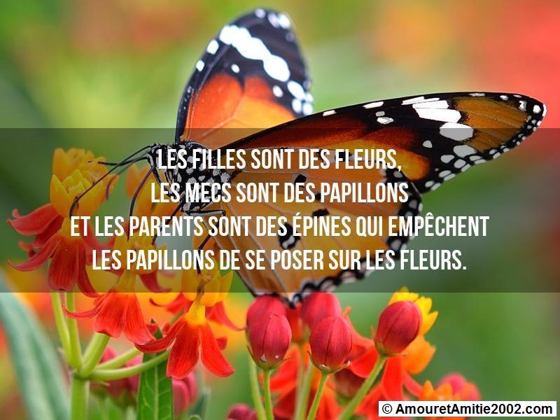 proverbe amour 327