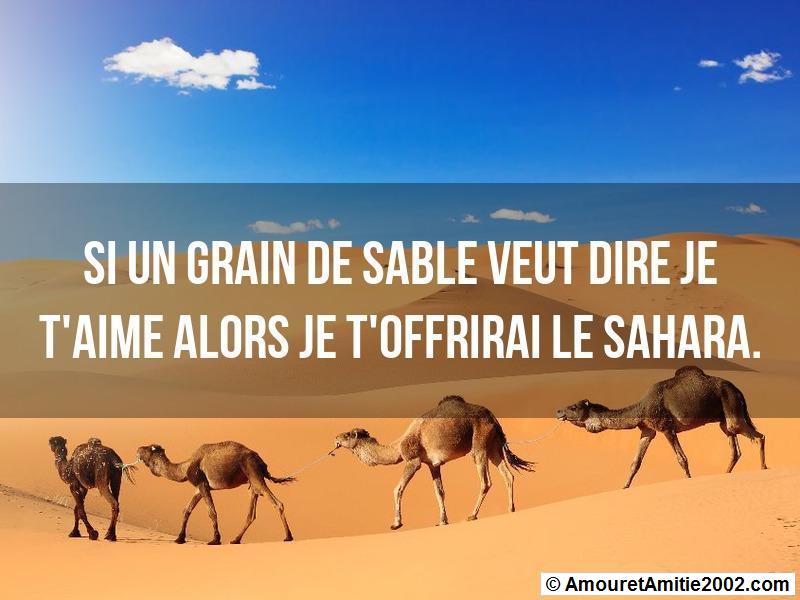 proverbe amour 339
