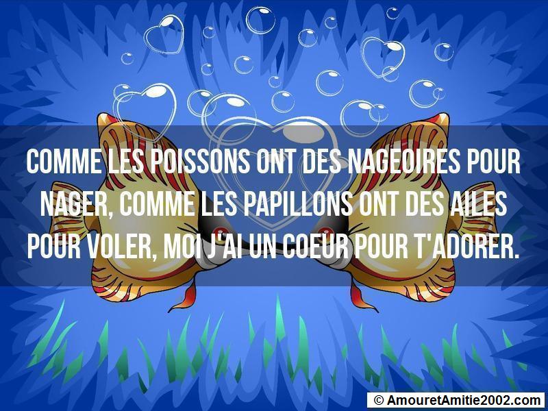 proverbe d'amour 95