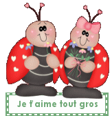 Je t'aime tout gros — blinkie d’amour n° 14