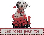 Ces roses pour toi — blinkie d’amour n° 65