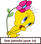 Une pensee pour toi — blinkie d’amour n° 92