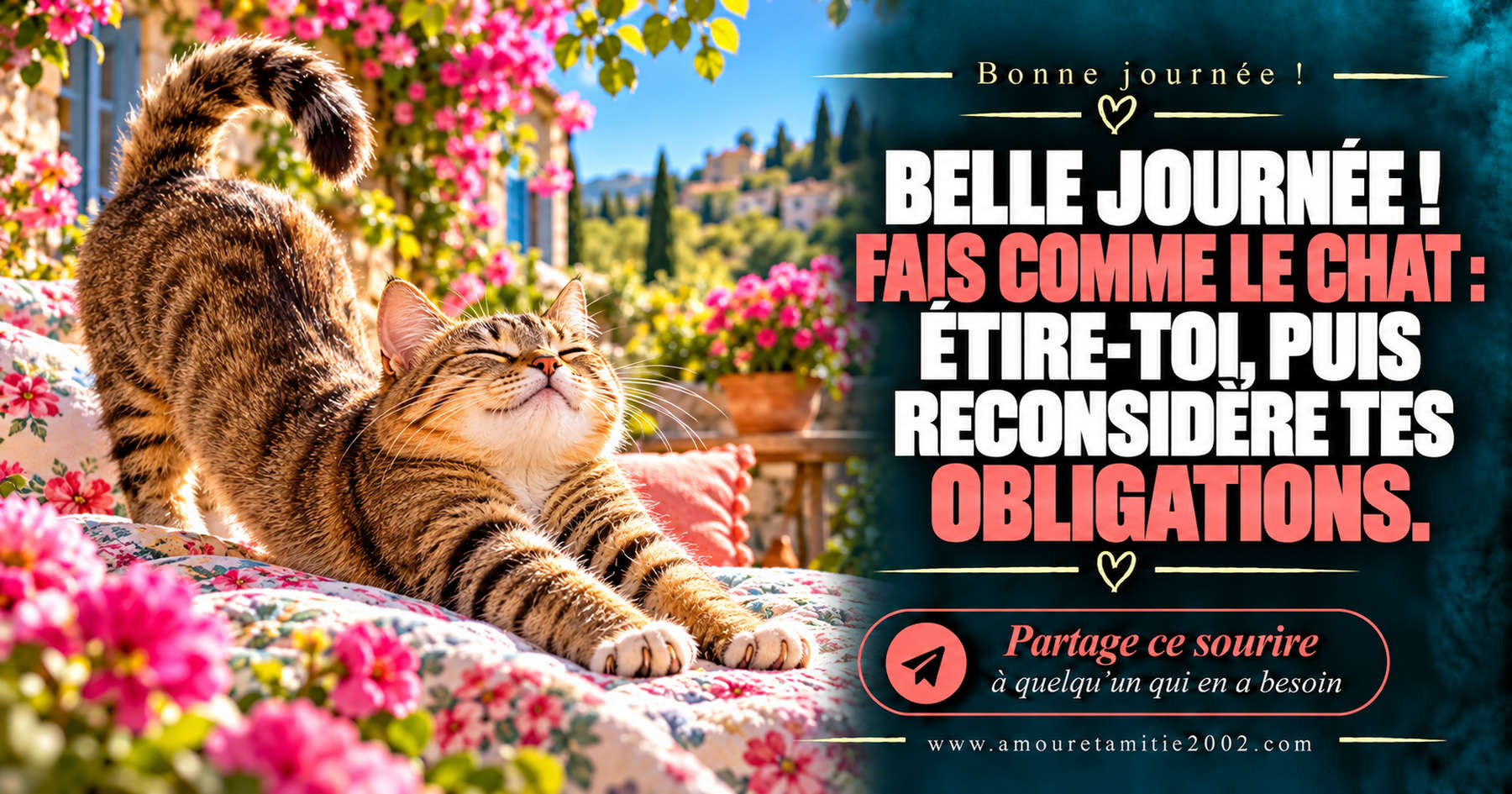 Belle journée ! Fais comme le chat : étire-toi, puis reconsidère tes obligations.