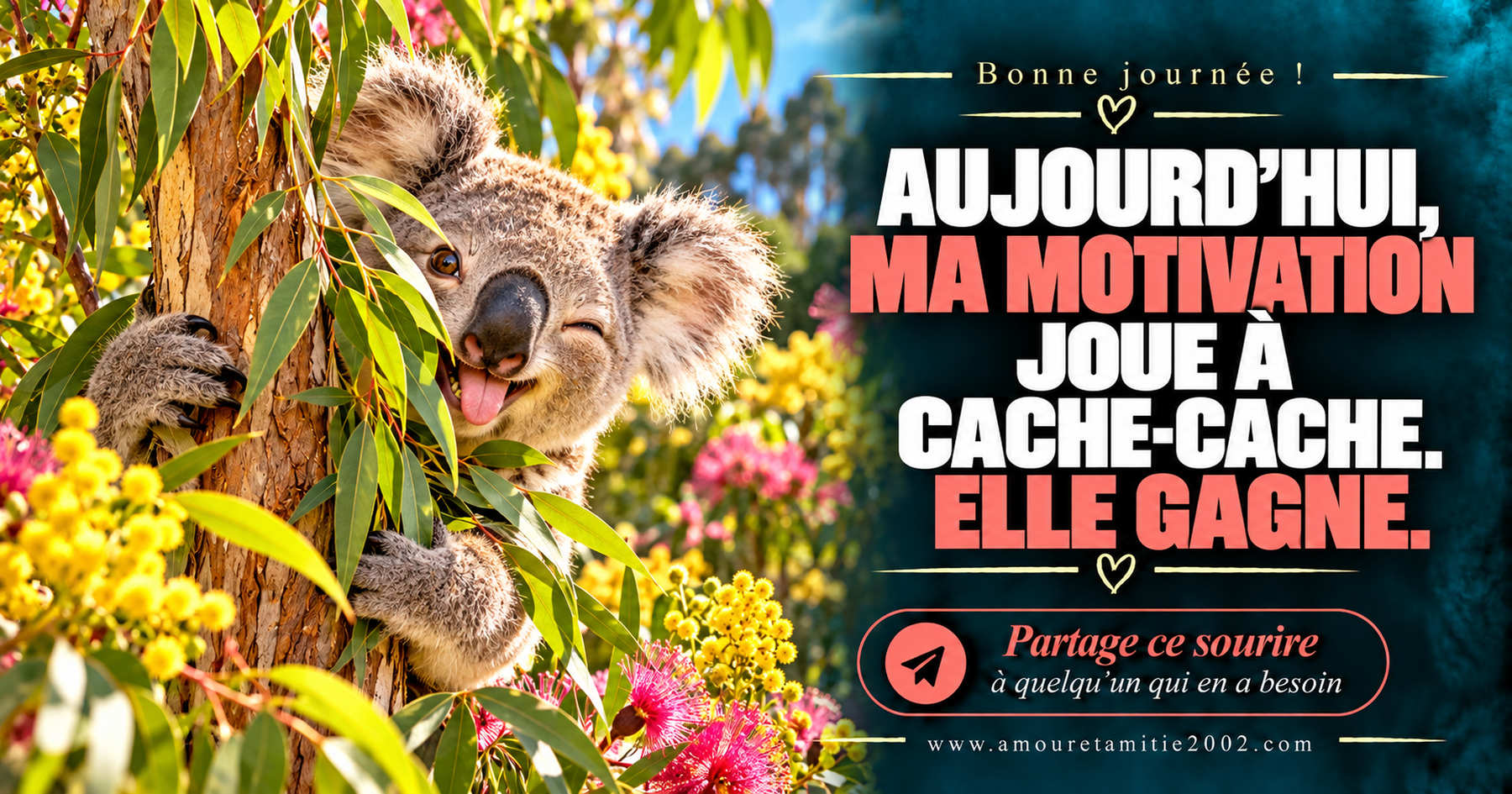 Aujourd’hui, ma motivation joue à cache-cache. Elle gagne.
