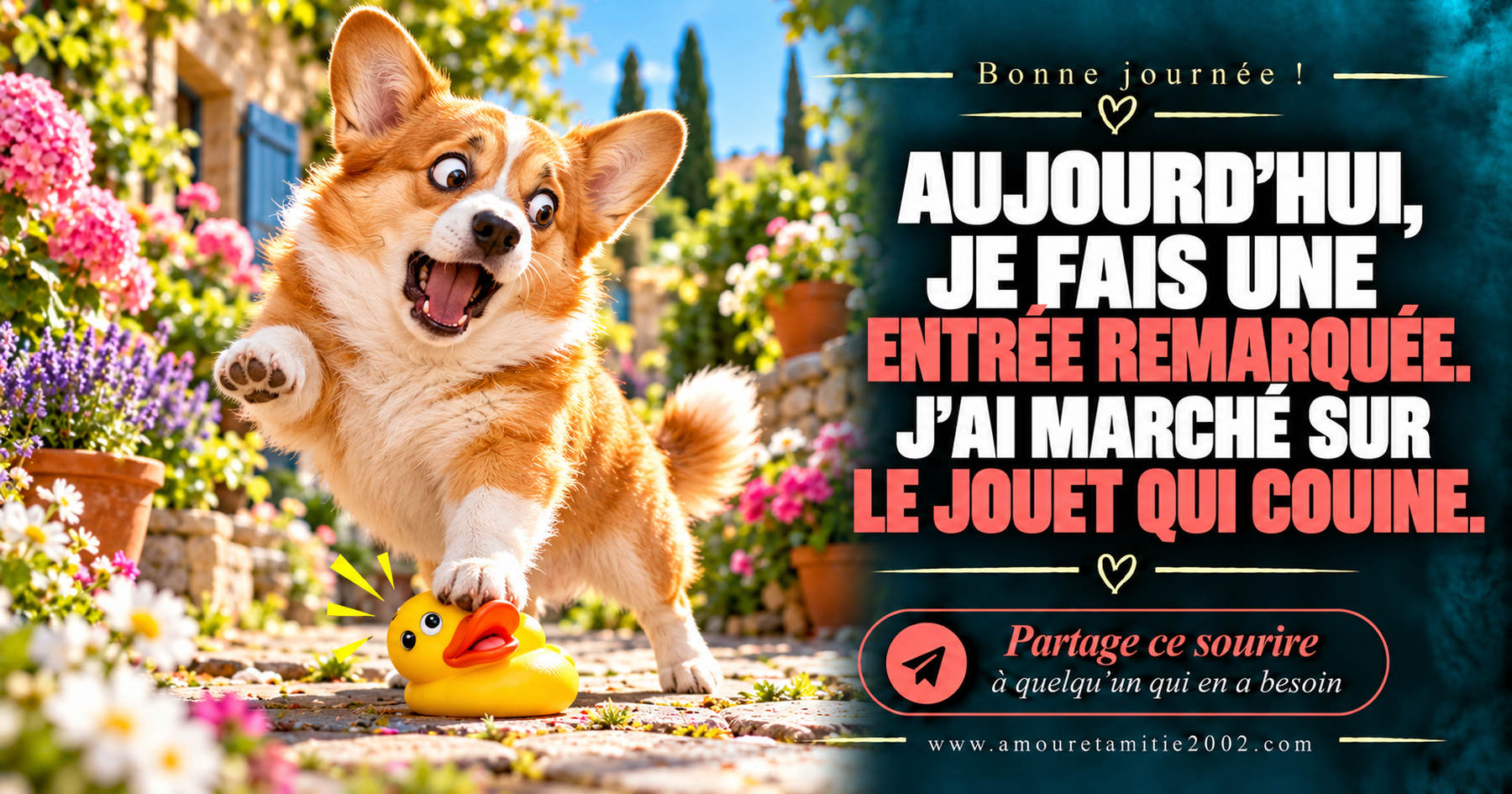 Aujourd’hui, je fais une entrée remarquée. J’ai marché sur le jouet qui couine.