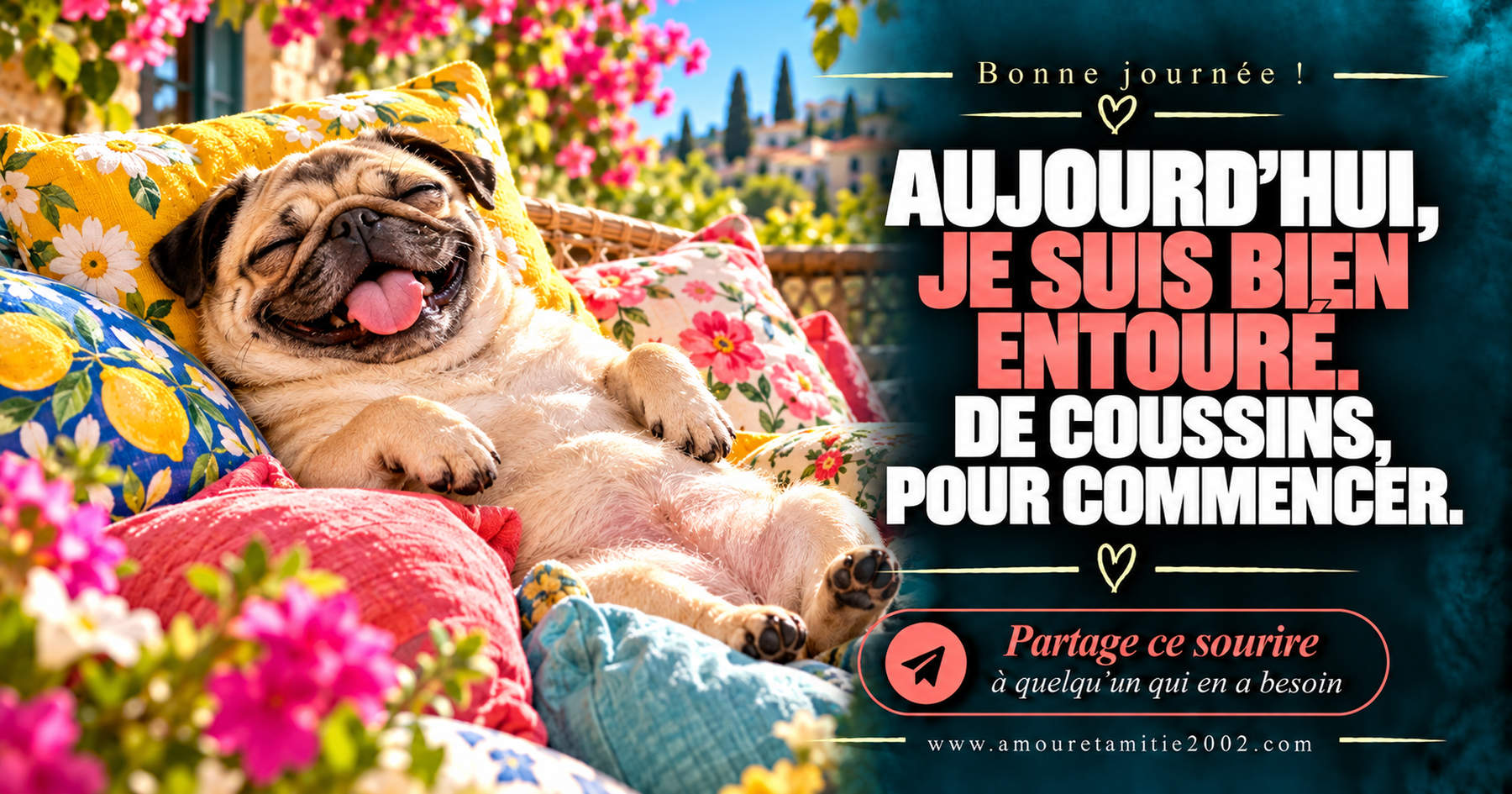 Aujourd’hui, je suis bien entouré. De coussins, pour commencer.