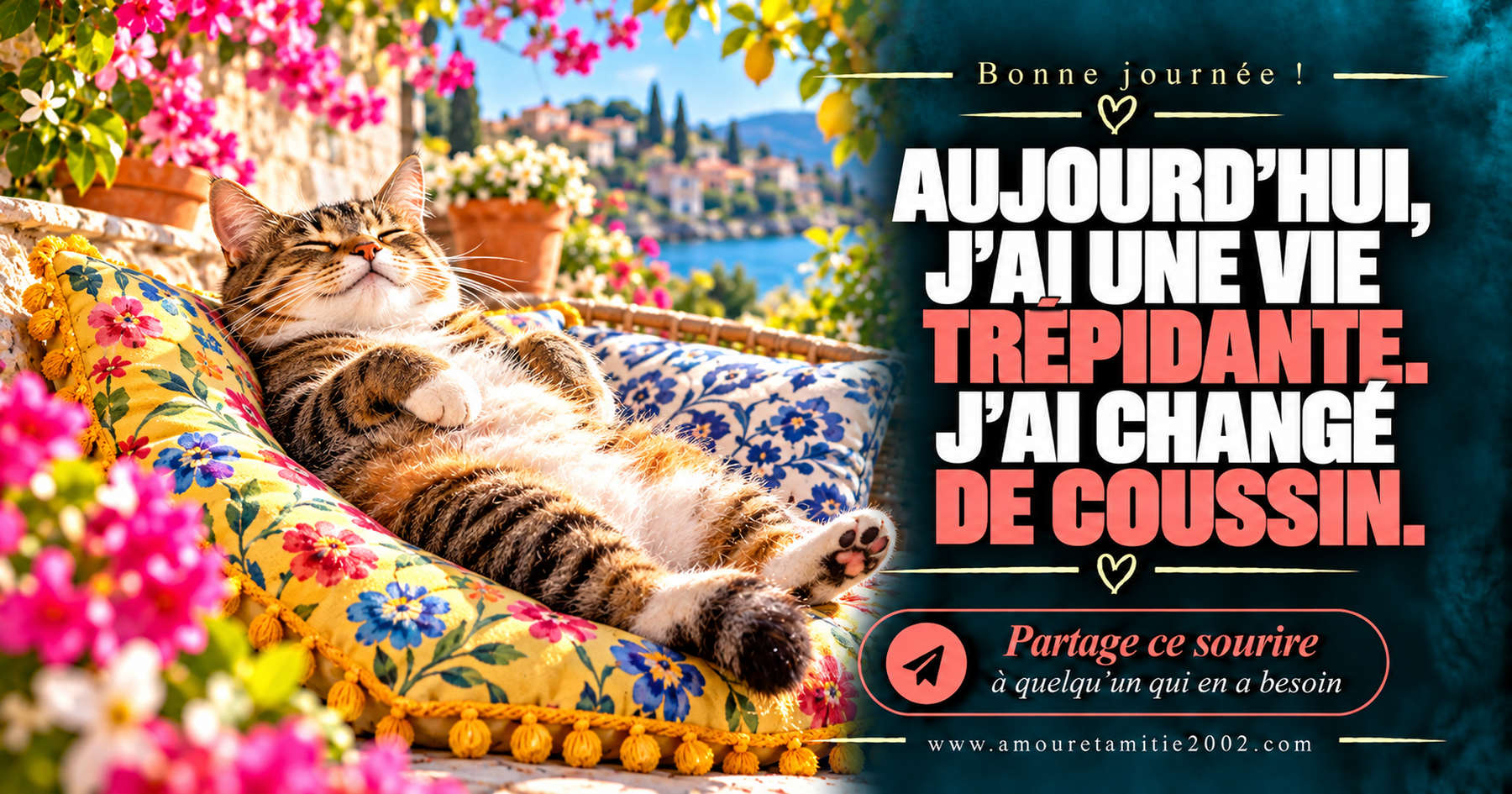 Aujourd’hui, j’ai une vie trépidante. J’ai changé de coussin.