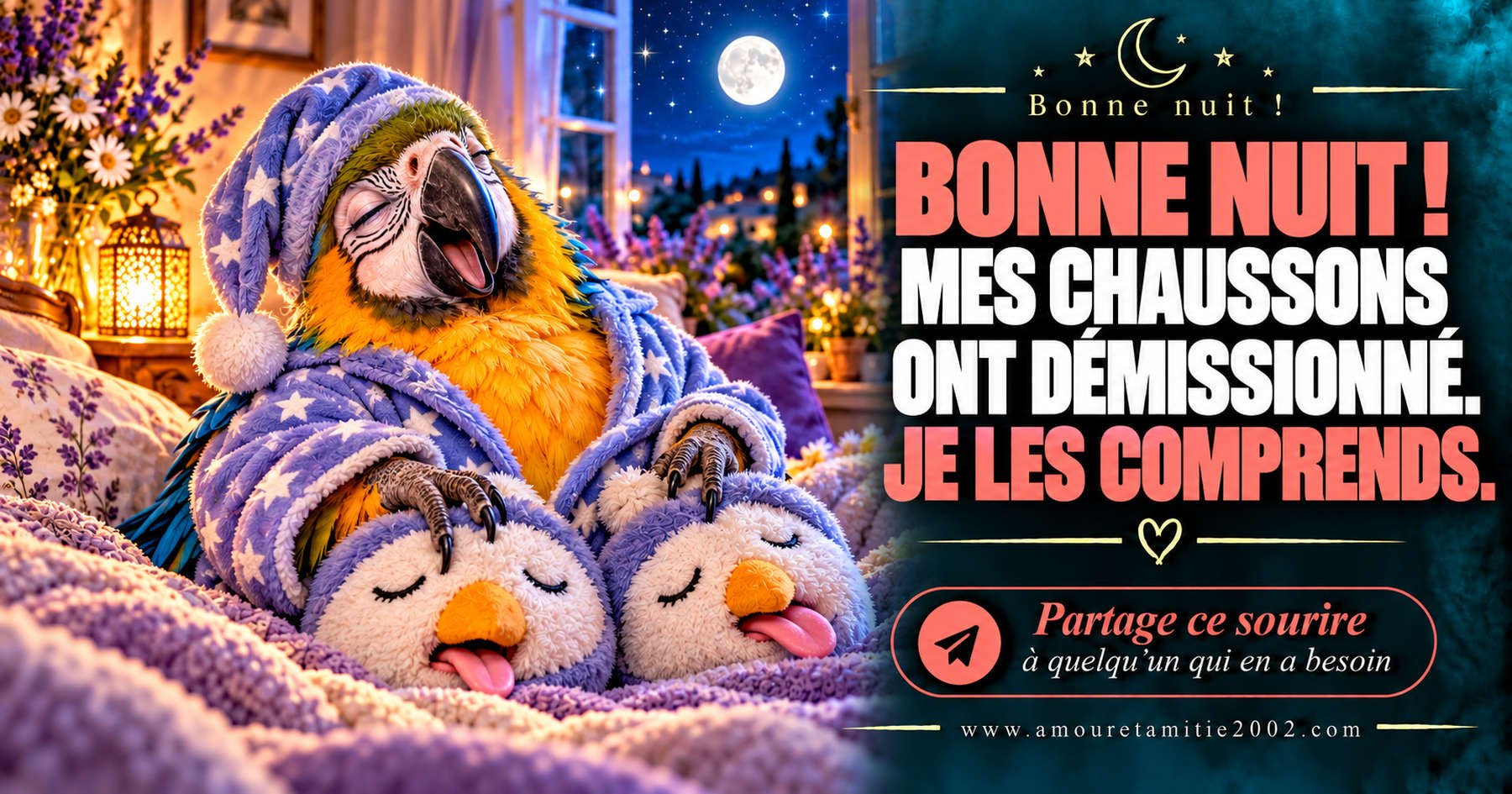 Bonne nuit ! Mes chaussons ont démissionné. Je les comprends.