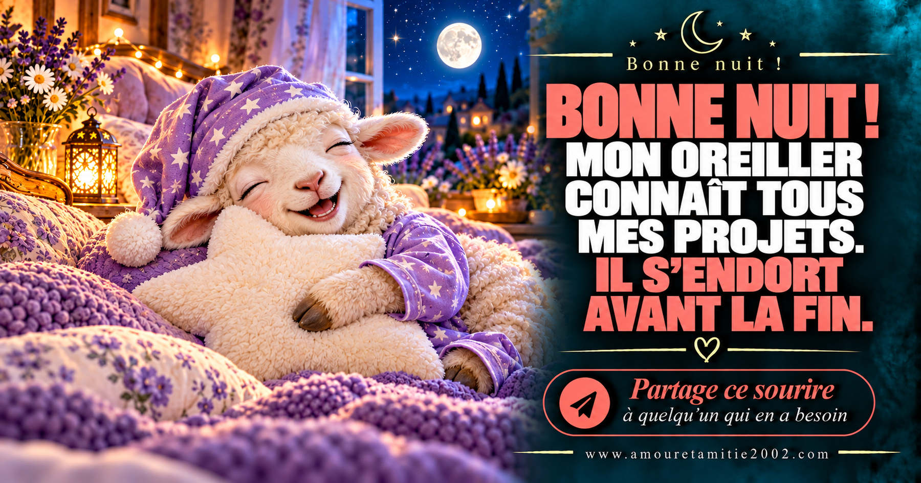 Bonne nuit ! Mon oreiller connaît tous mes projets. Il s’endort avant la fin.