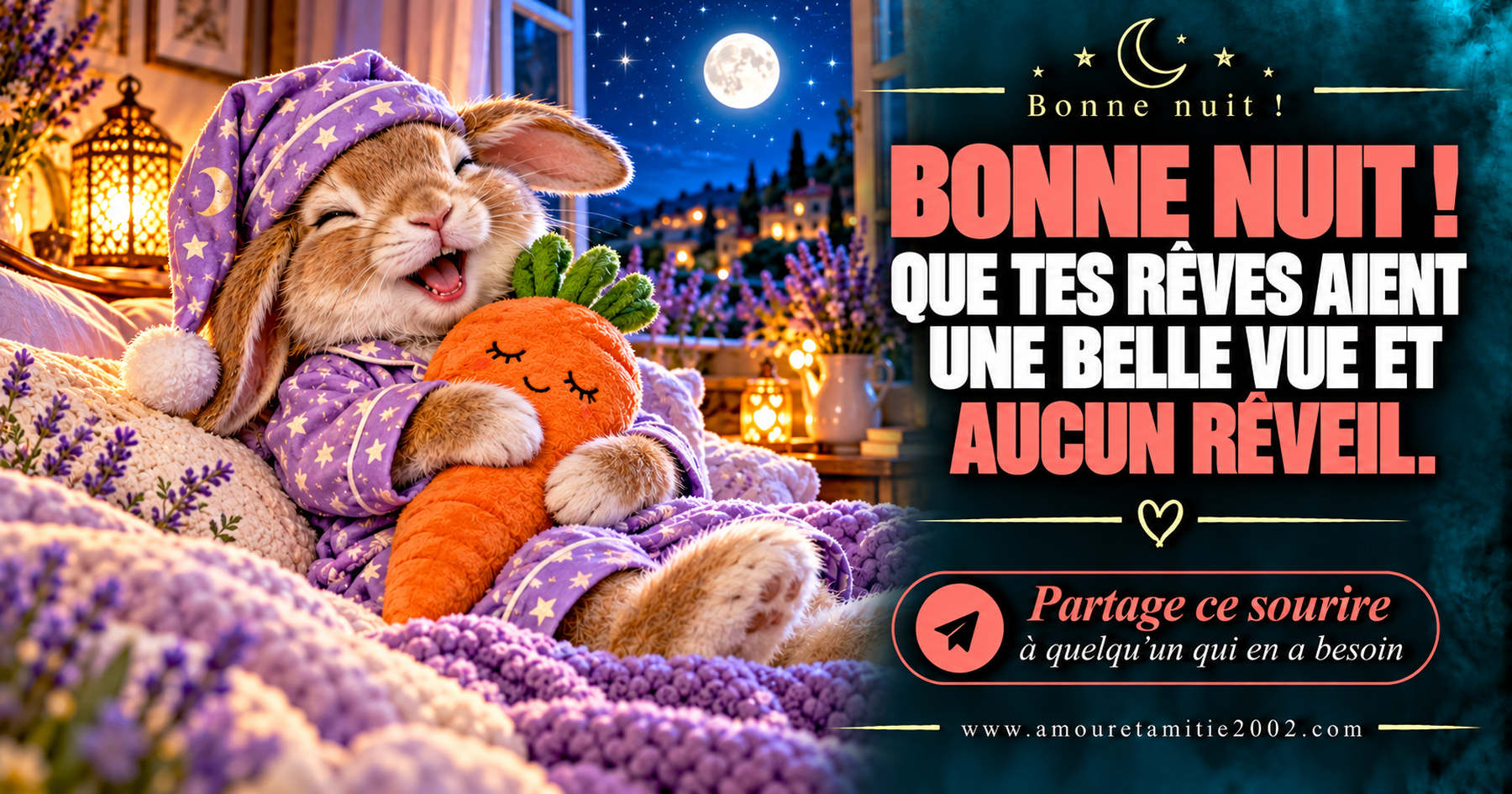 Bonne nuit ! Que tes rêves aient une belle vue et aucun réveil.