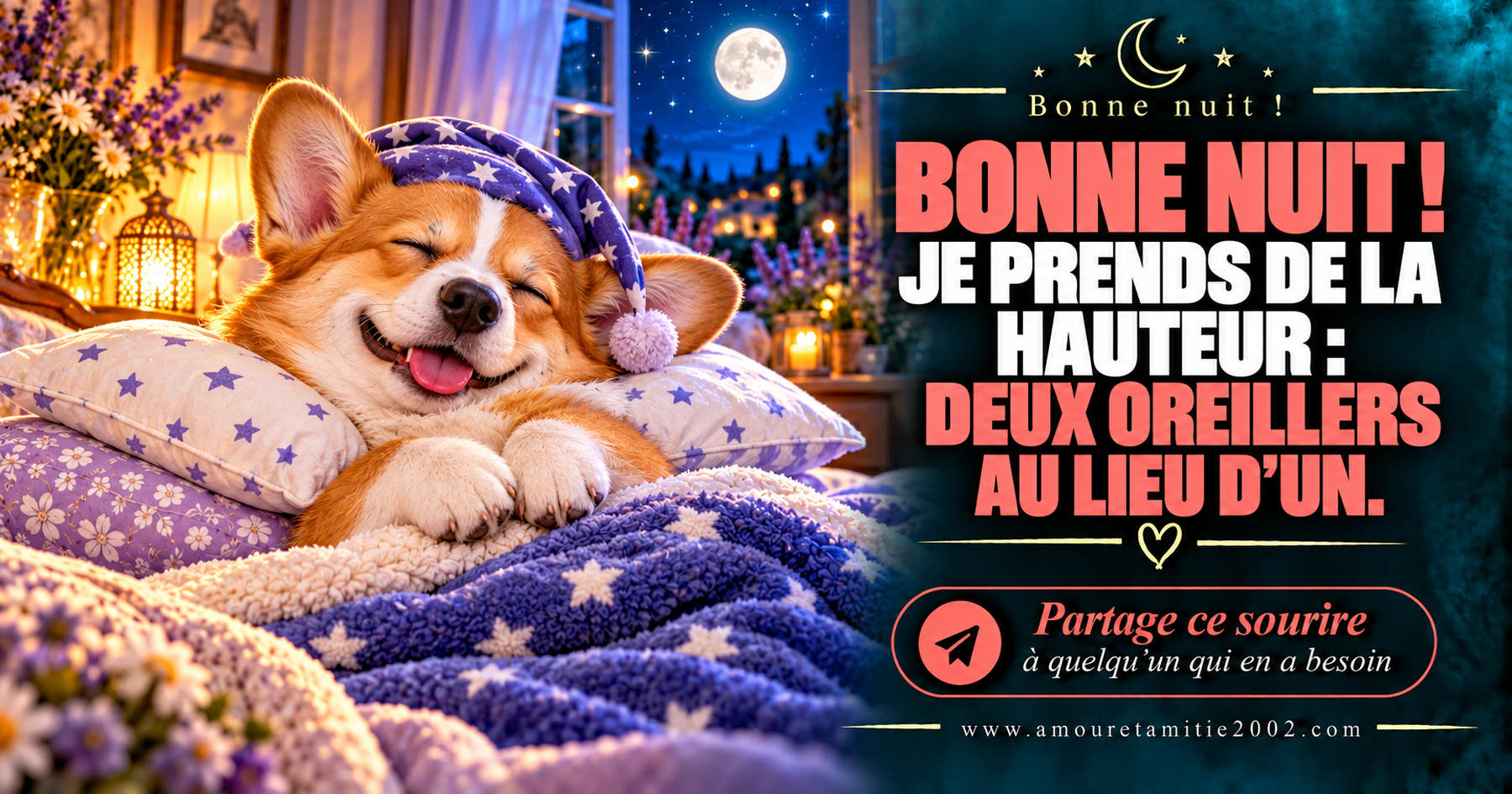 Bonne nuit ! Je prends de la hauteur : deux oreillers au lieu d’un.