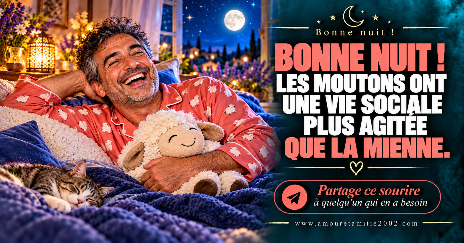 Bonne nuit ! Les moutons ont une vie sociale plus agitée que la mienne.