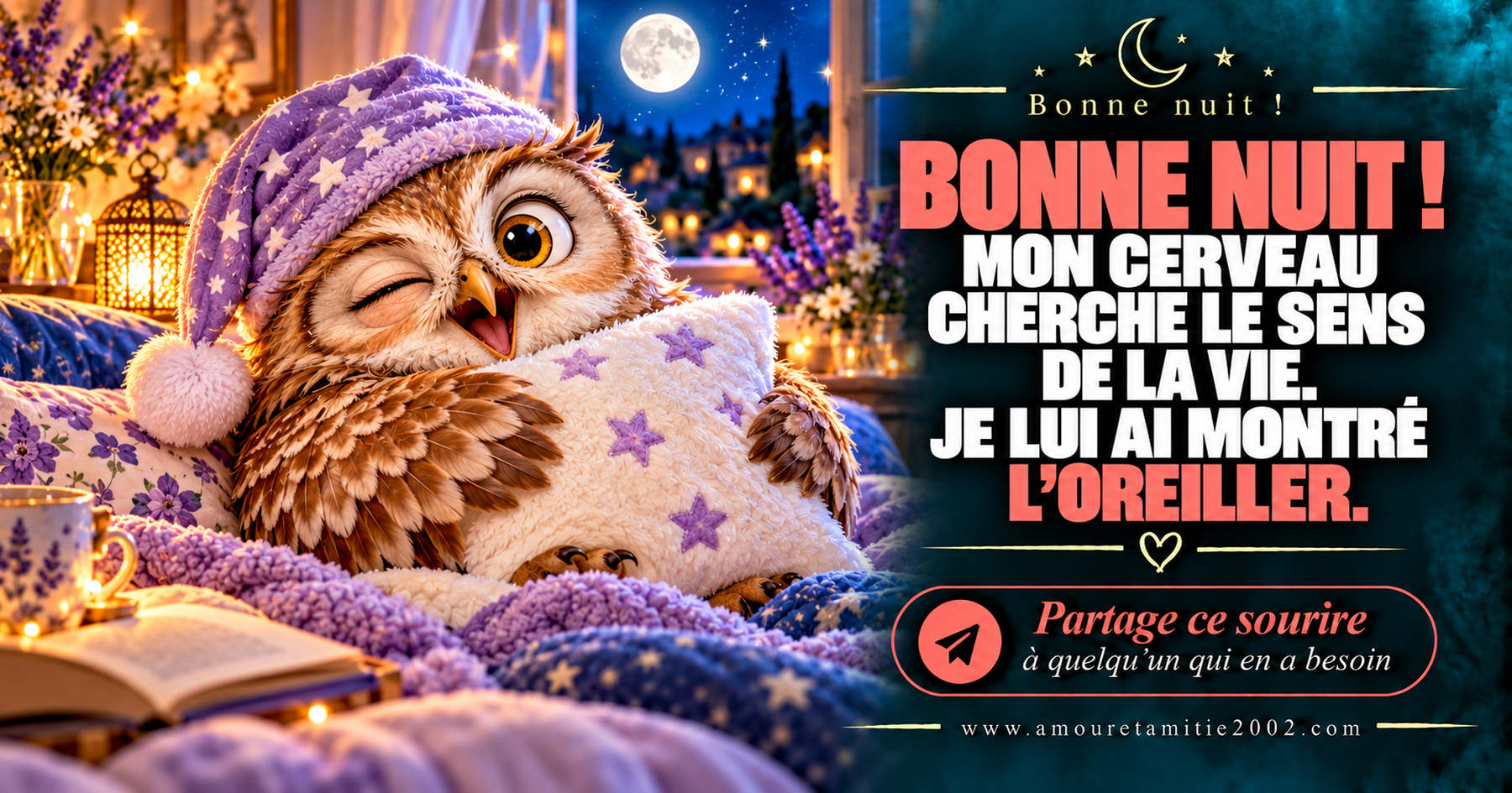 Bonne nuit ! Mon cerveau cherche le sens de la vie. Je lui ai montré l’oreiller.