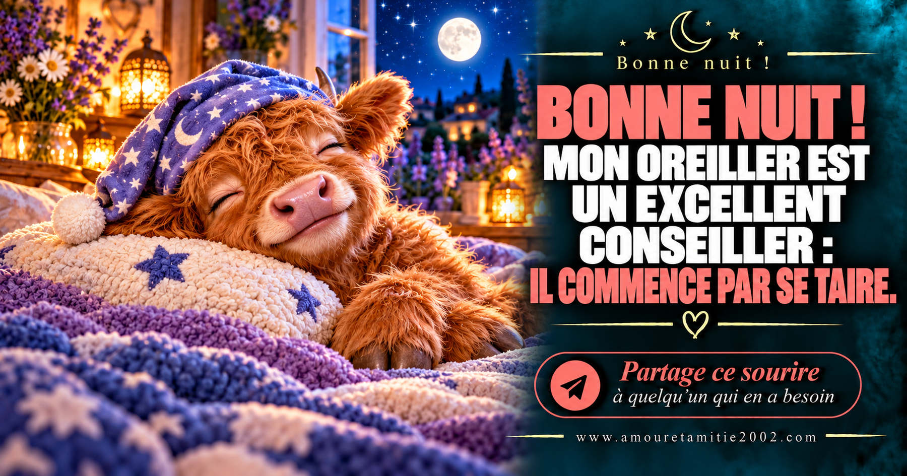 Bonne nuit ! Mon oreiller est un excellent conseiller : il commence par se taire.
