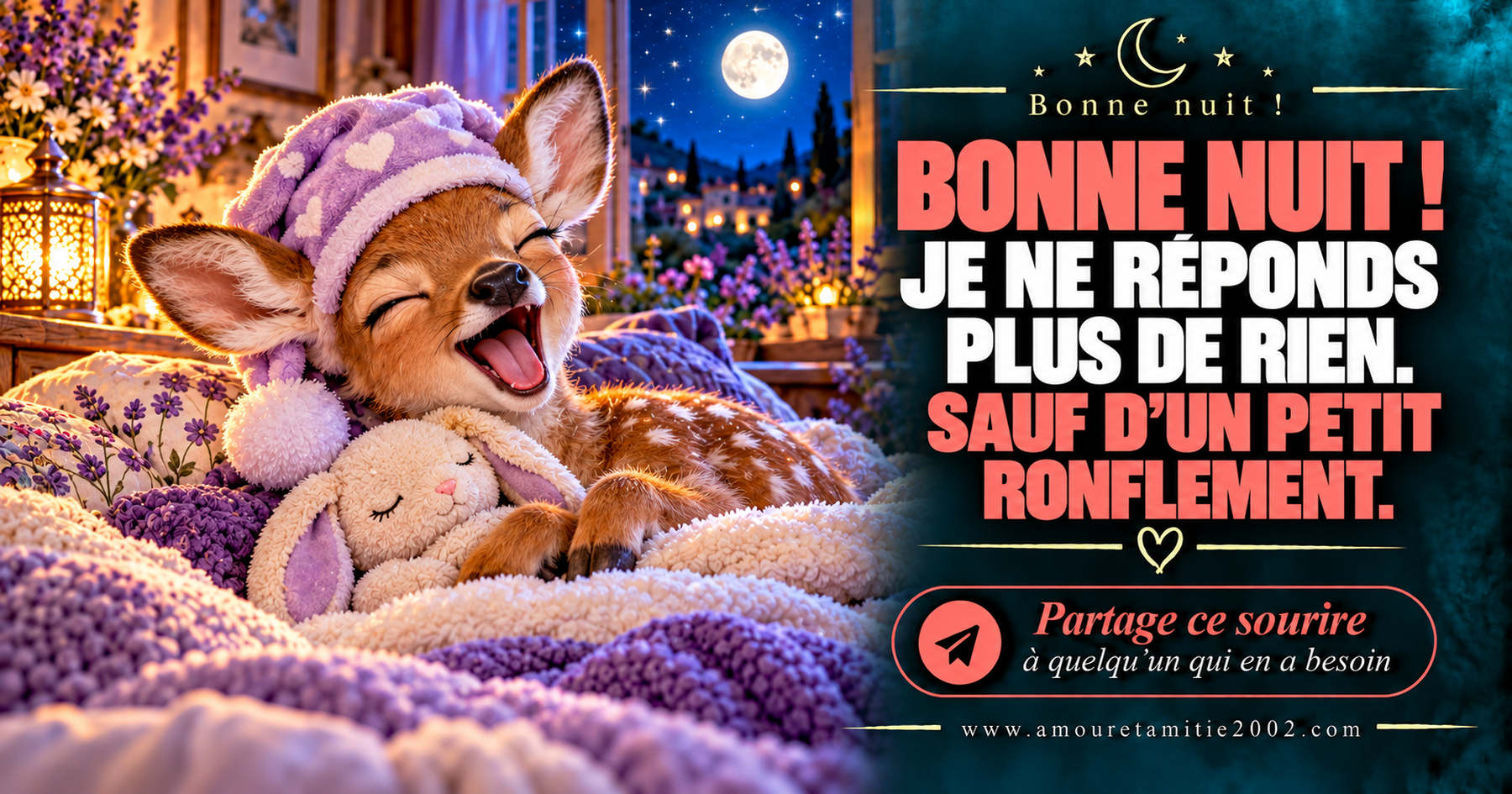 Bonne nuit ! Je ne réponds plus de rien. Sauf d’un petit ronflement.