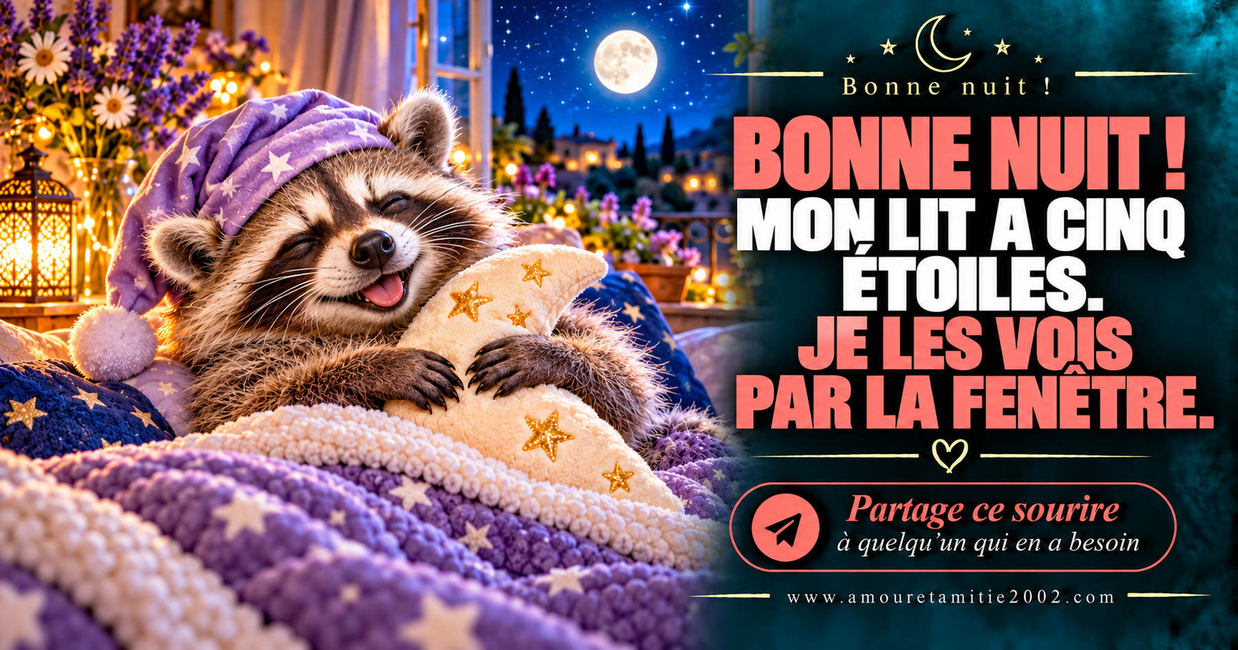 Bonne nuit ! Mon lit a cinq étoiles. Je les vois par la fenêtre.