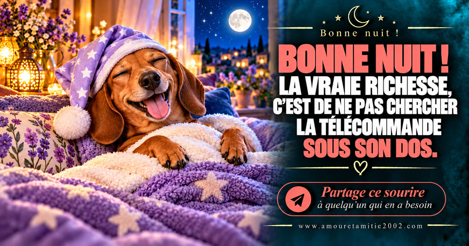 Bonne nuit ! La vraie richesse, c’est de ne pas chercher la télécommande sous son dos.