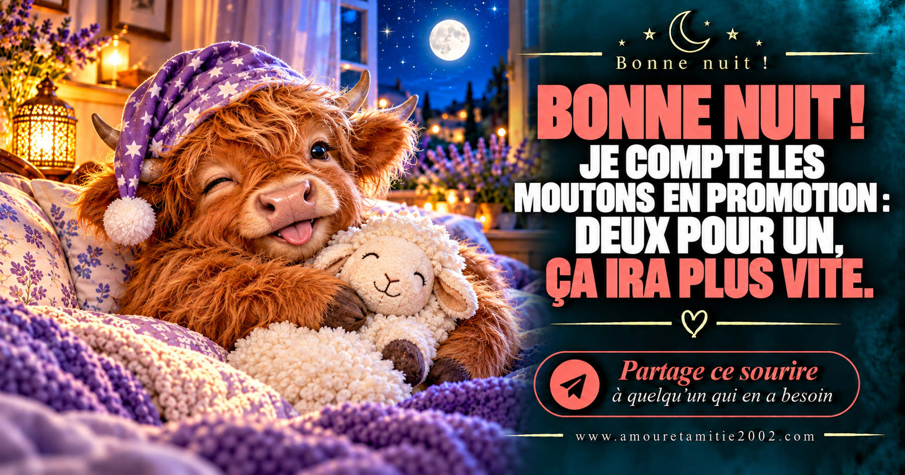 Bonne nuit ! Je compte les moutons en promotion : deux pour un, ça ira plus vite.