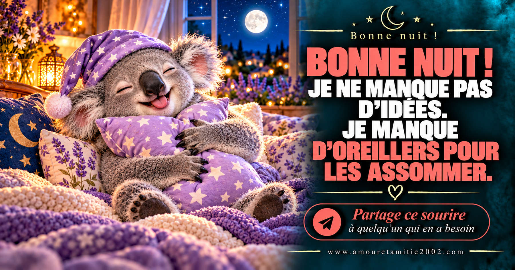 Bonne nuit ! Je ne manque pas d’idées. Je manque d’oreillers pour les assommer.