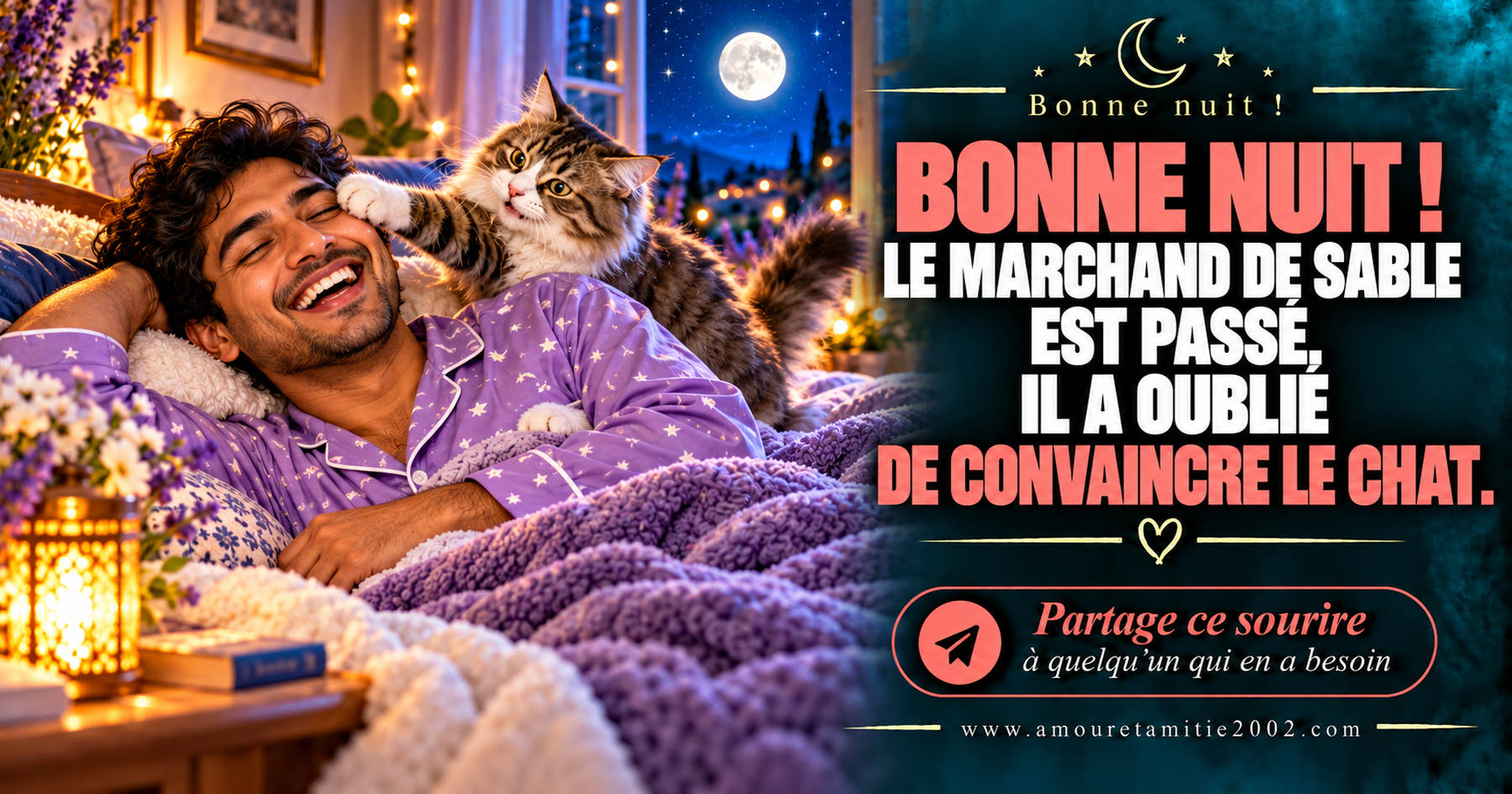 Bonne nuit ! Le marchand de sable est passé. Il a oublié de convaincre le chat.