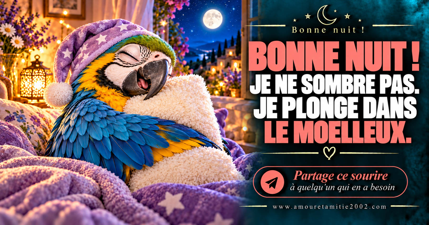 Bonne nuit ! Je ne sombre pas. Je plonge dans le moelleux.