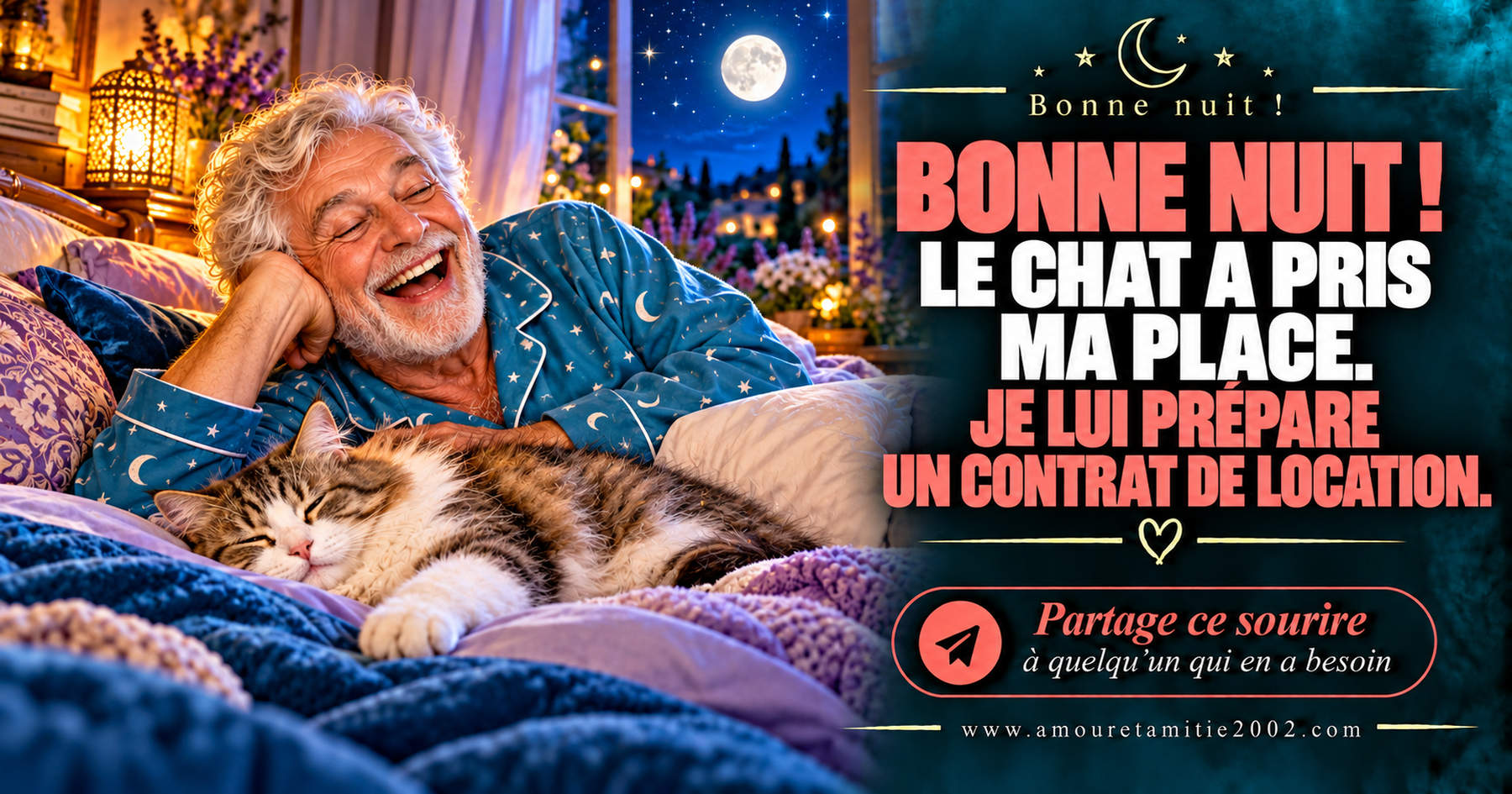Bonne nuit ! Le chat a pris ma place. Je lui prépare un contrat de location.