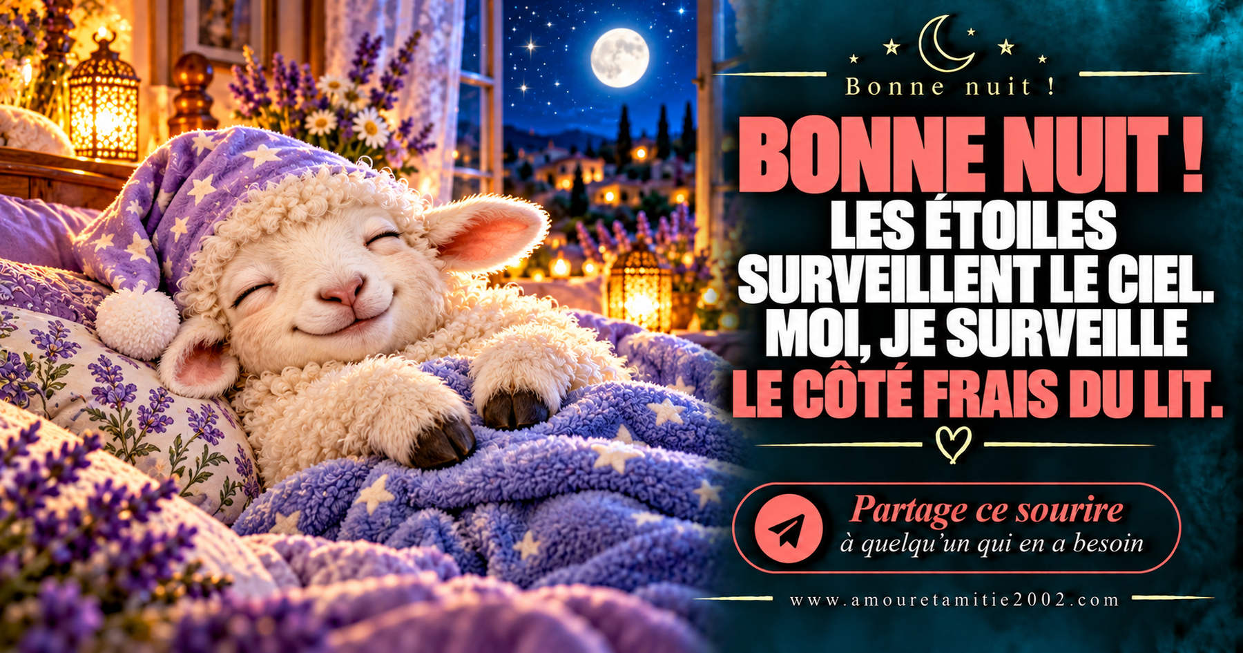 Bonne nuit ! Les étoiles surveillent le ciel. Moi, je surveille le côté frais du lit.