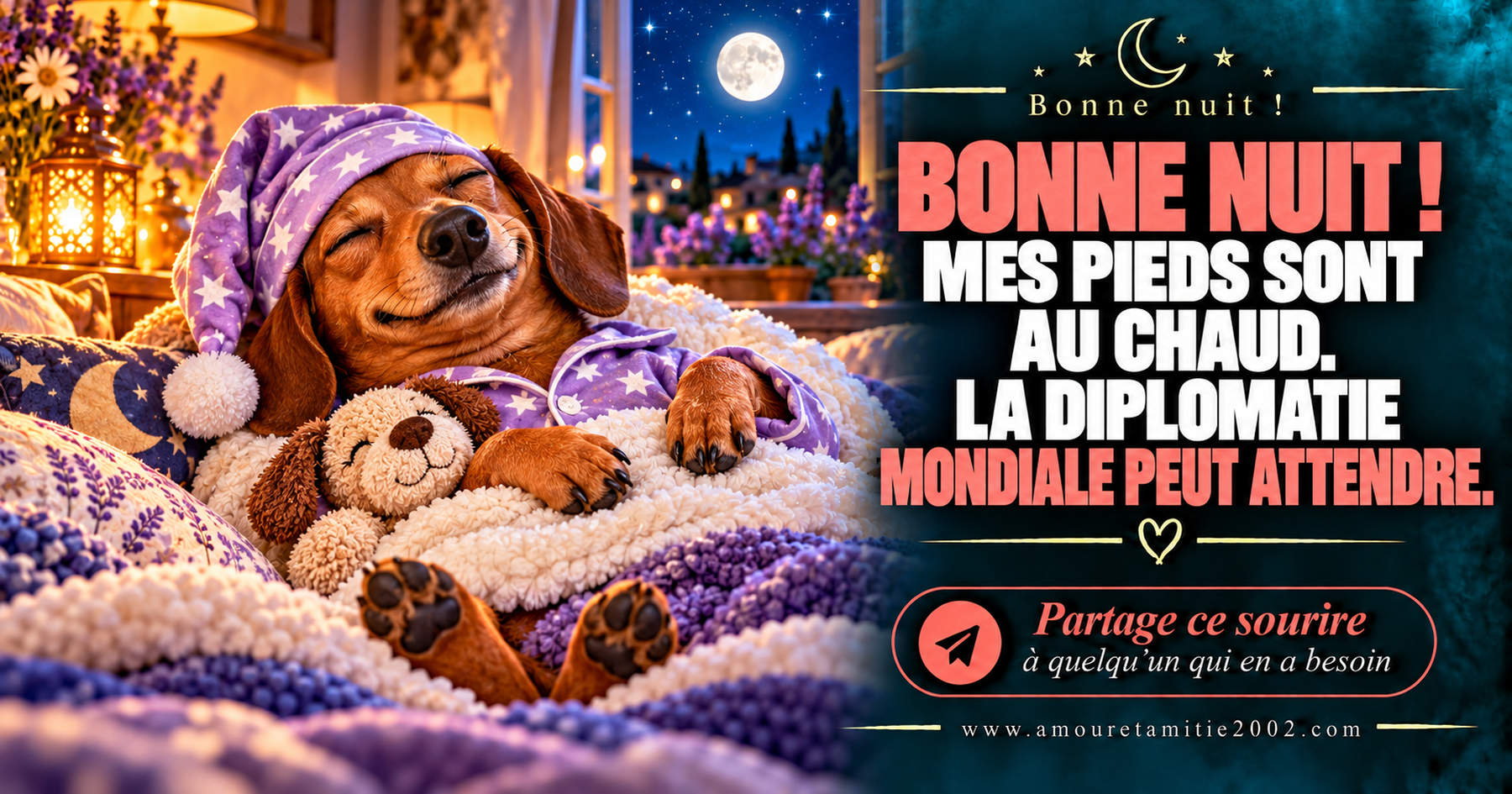 Bonne nuit ! Mes pieds sont au chaud. La diplomatie mondiale peut attendre.