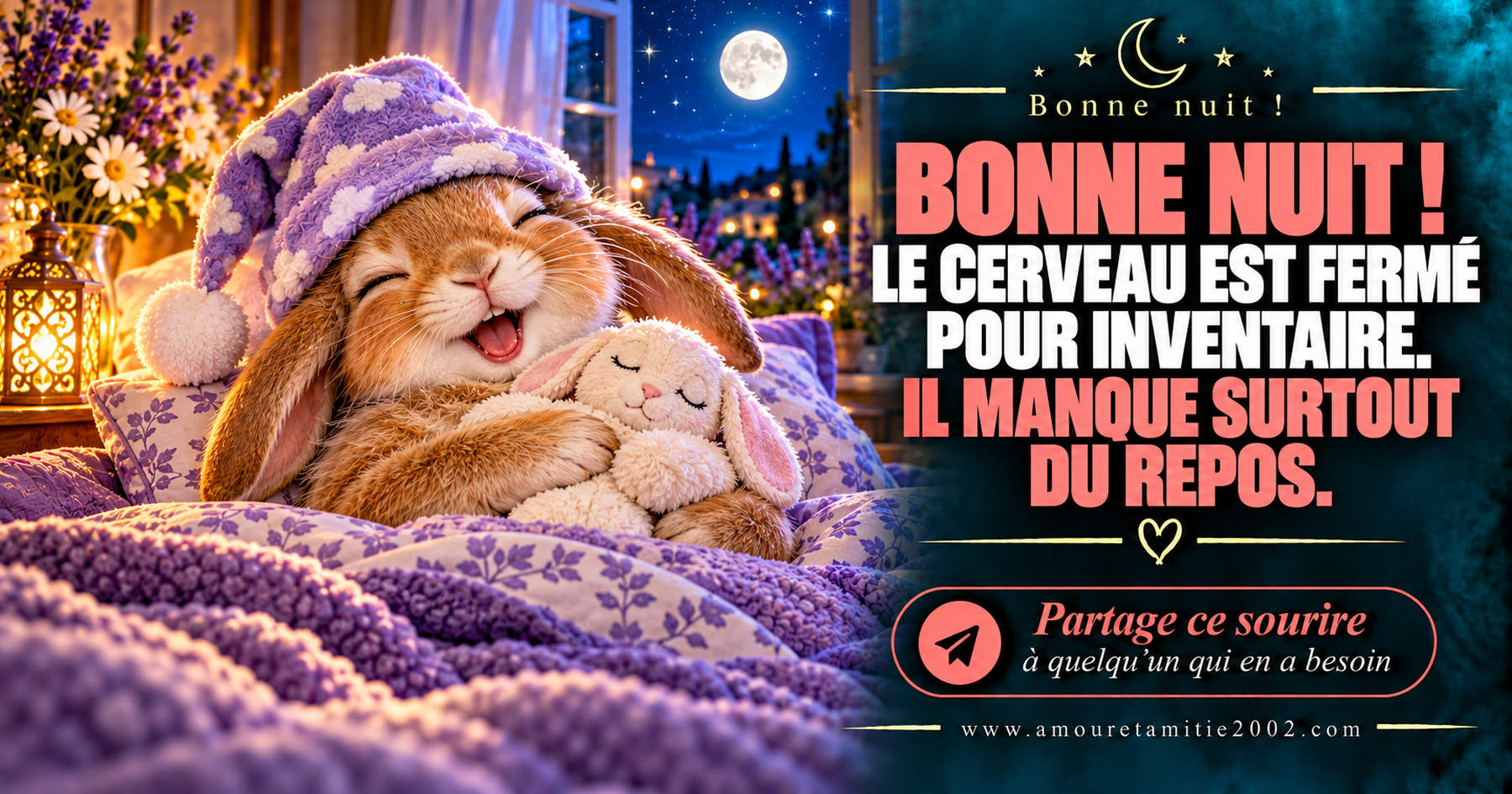 Bonne nuit ! Le cerveau est fermé pour inventaire. Il manque surtout du repos.