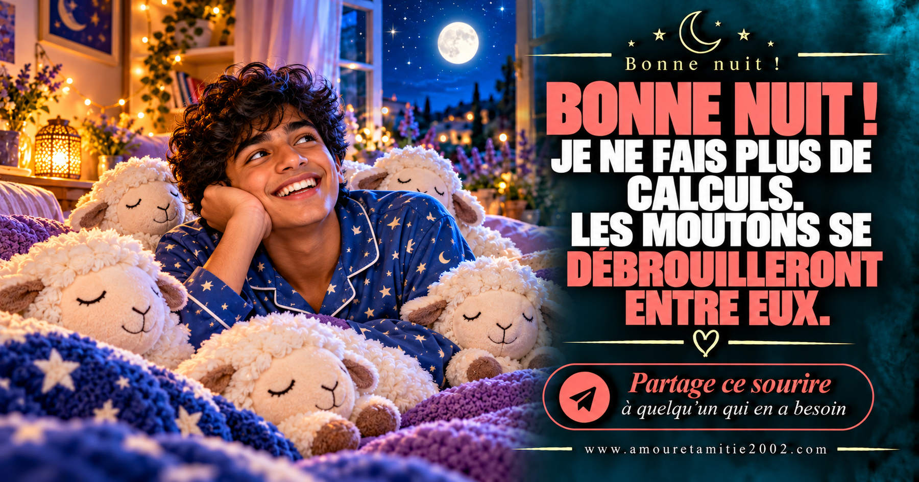 Bonne nuit ! Je ne fais plus de calculs. Les moutons se débrouilleront entre eux.