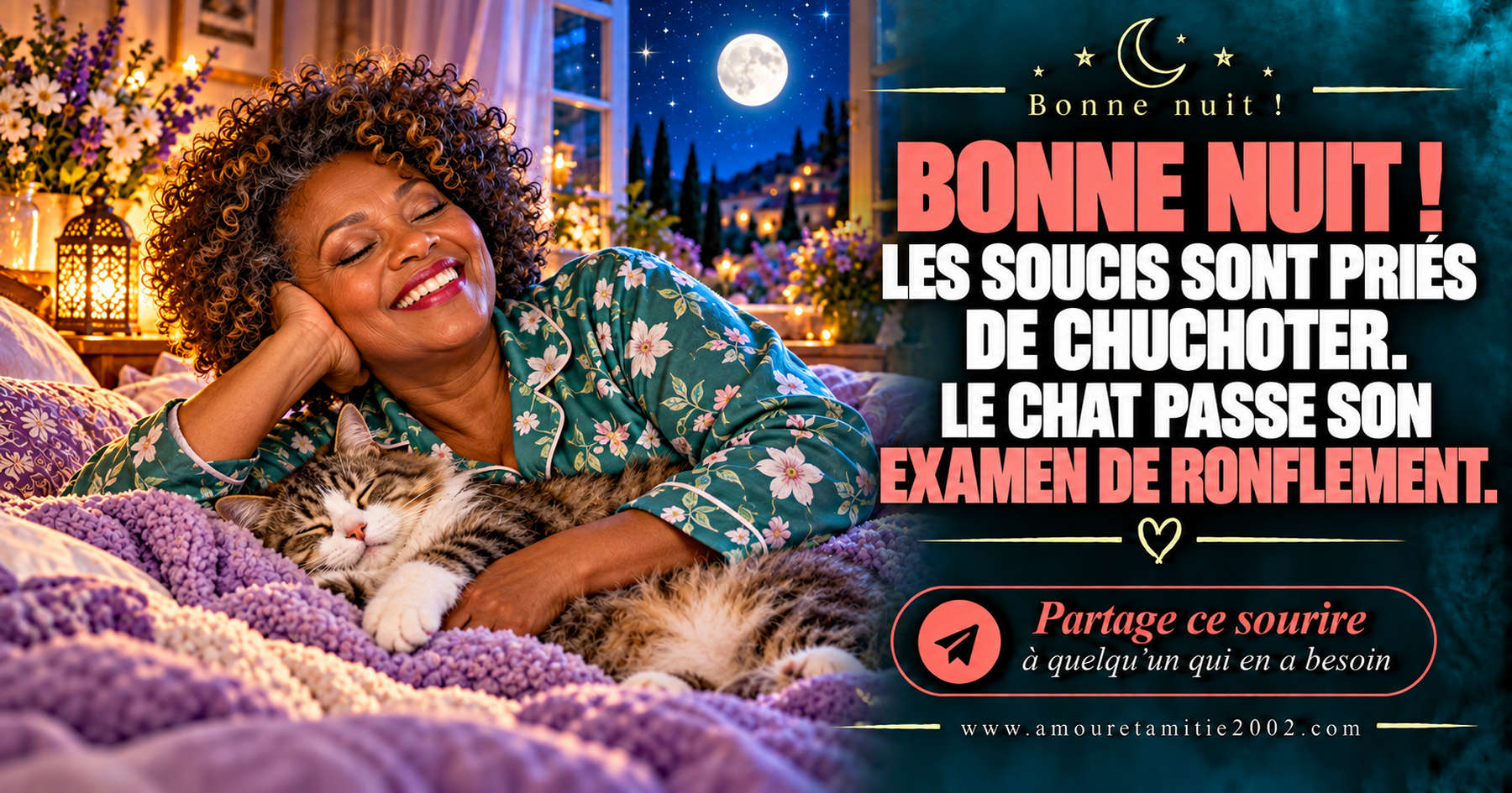 Bonne nuit ! Les soucis sont priés de chuchoter. Le chat passe son examen de ronflement.