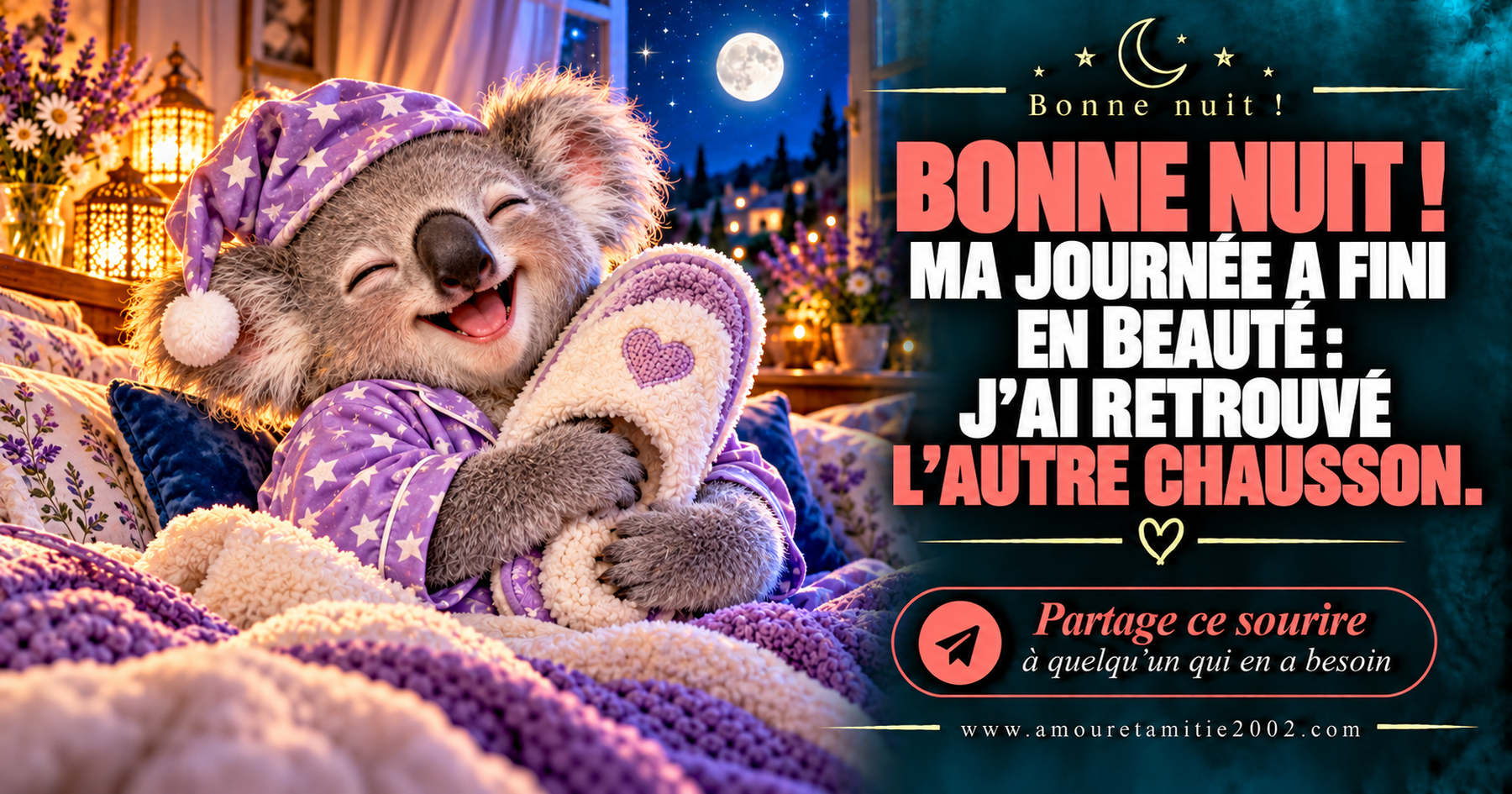 Bonne nuit ! Ma journée a fini en beauté : j’ai retrouvé l’autre chausson.