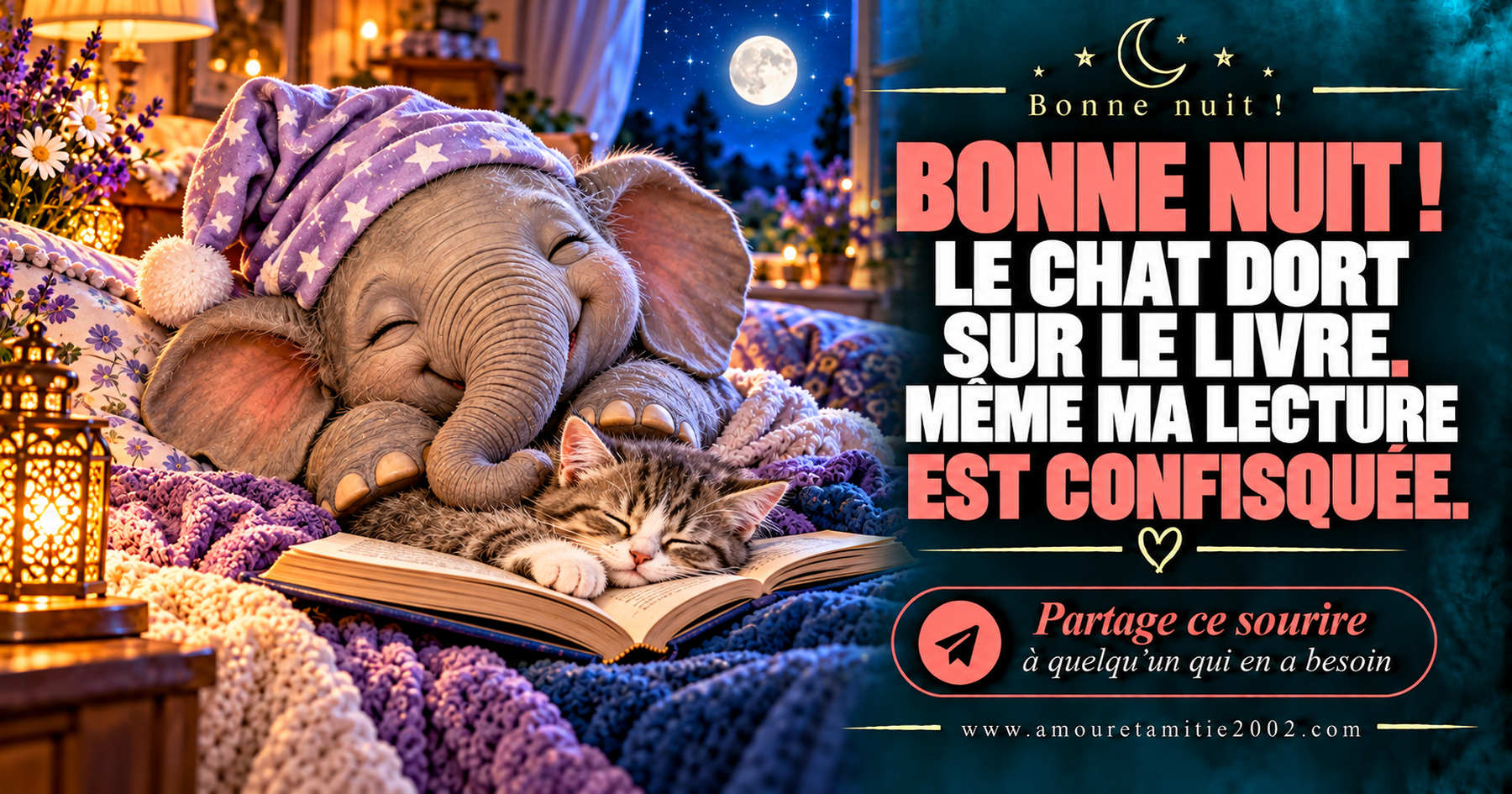 Bonne nuit ! Le chat dort sur le livre. Même ma lecture est confisquée.