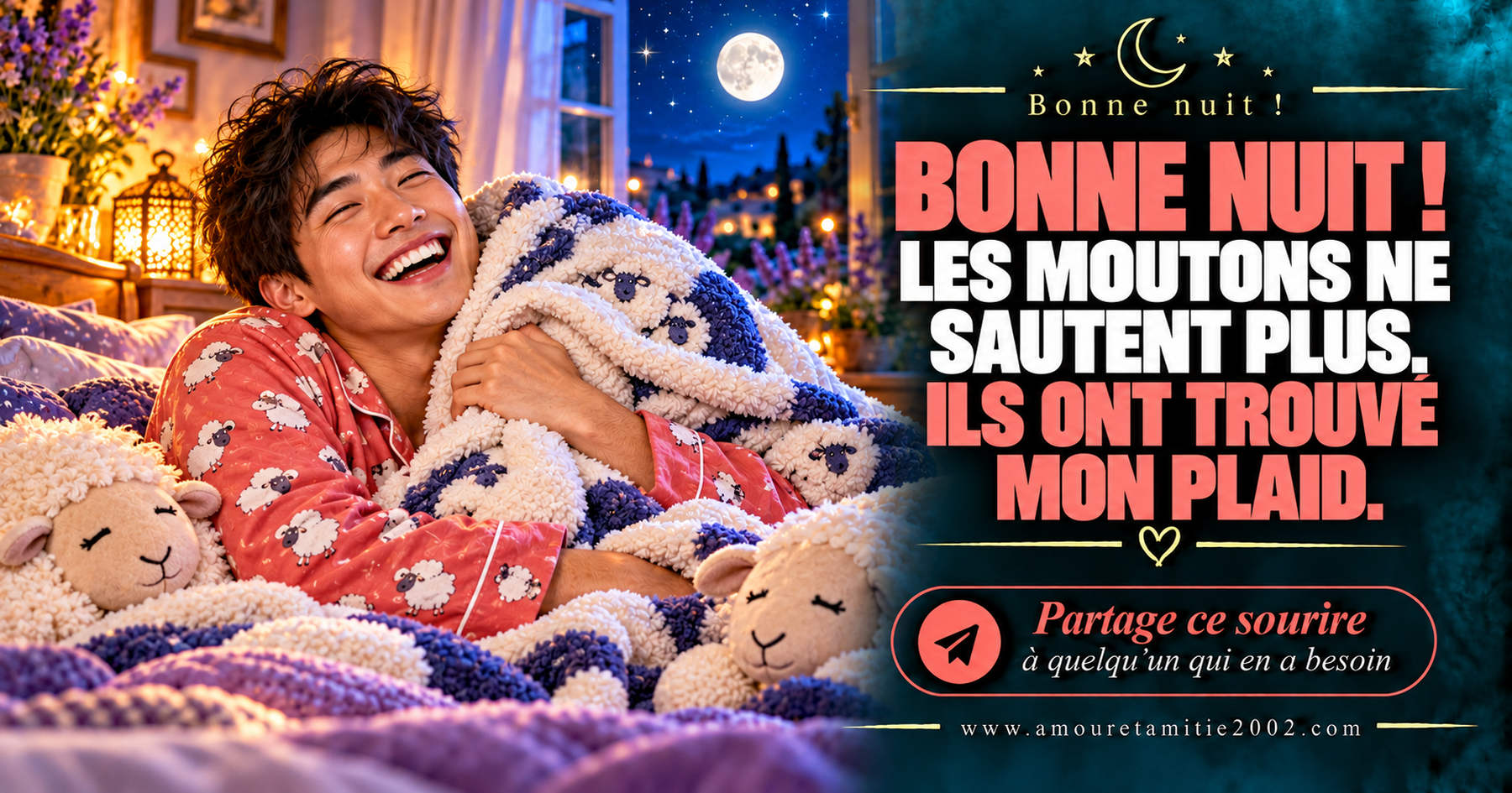 Bonne nuit ! Les moutons ne sautent plus. Ils ont trouvé mon plaid.