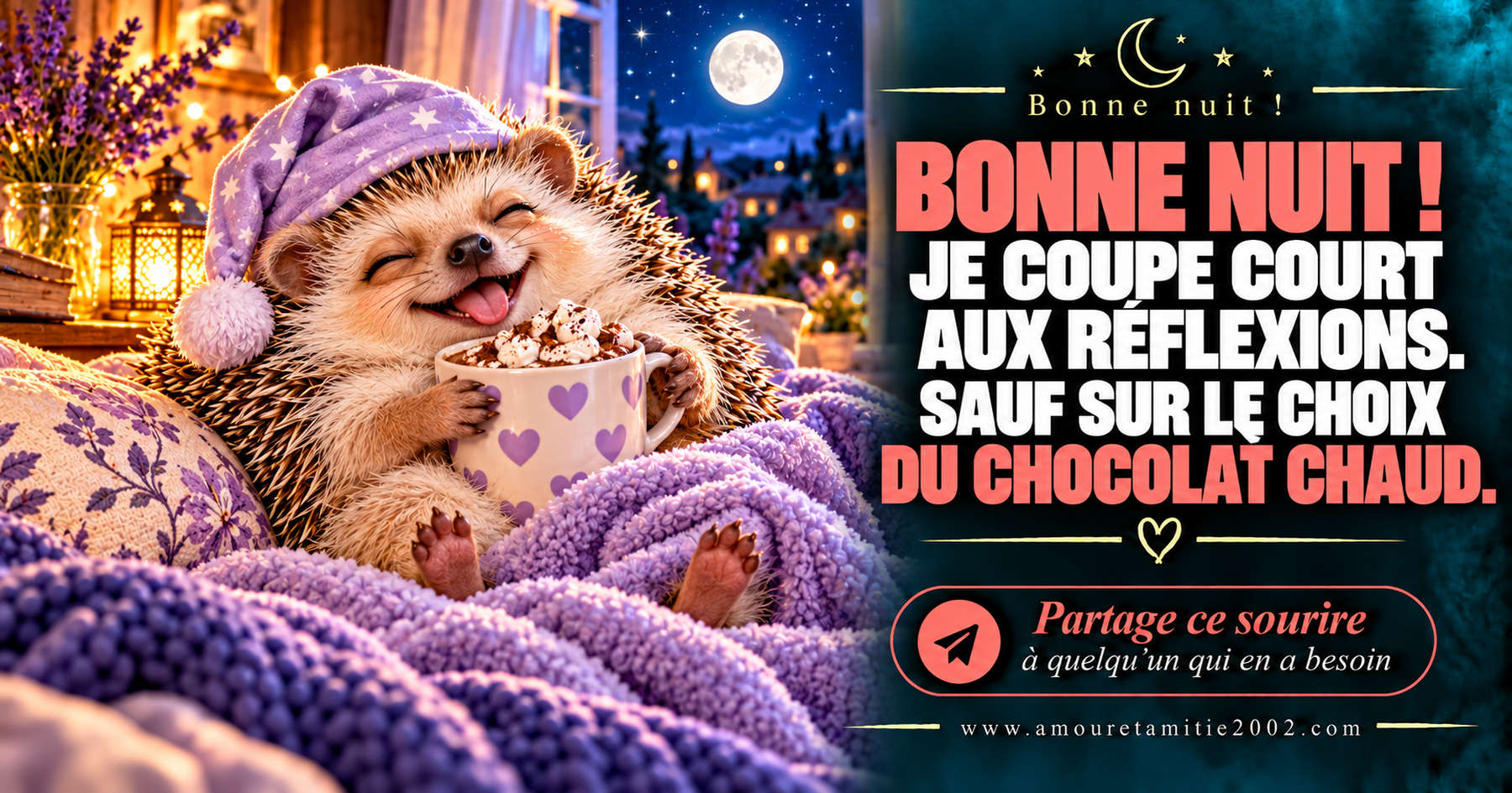 Bonne nuit ! Je coupe court aux réflexions. Sauf sur le choix du chocolat chaud.