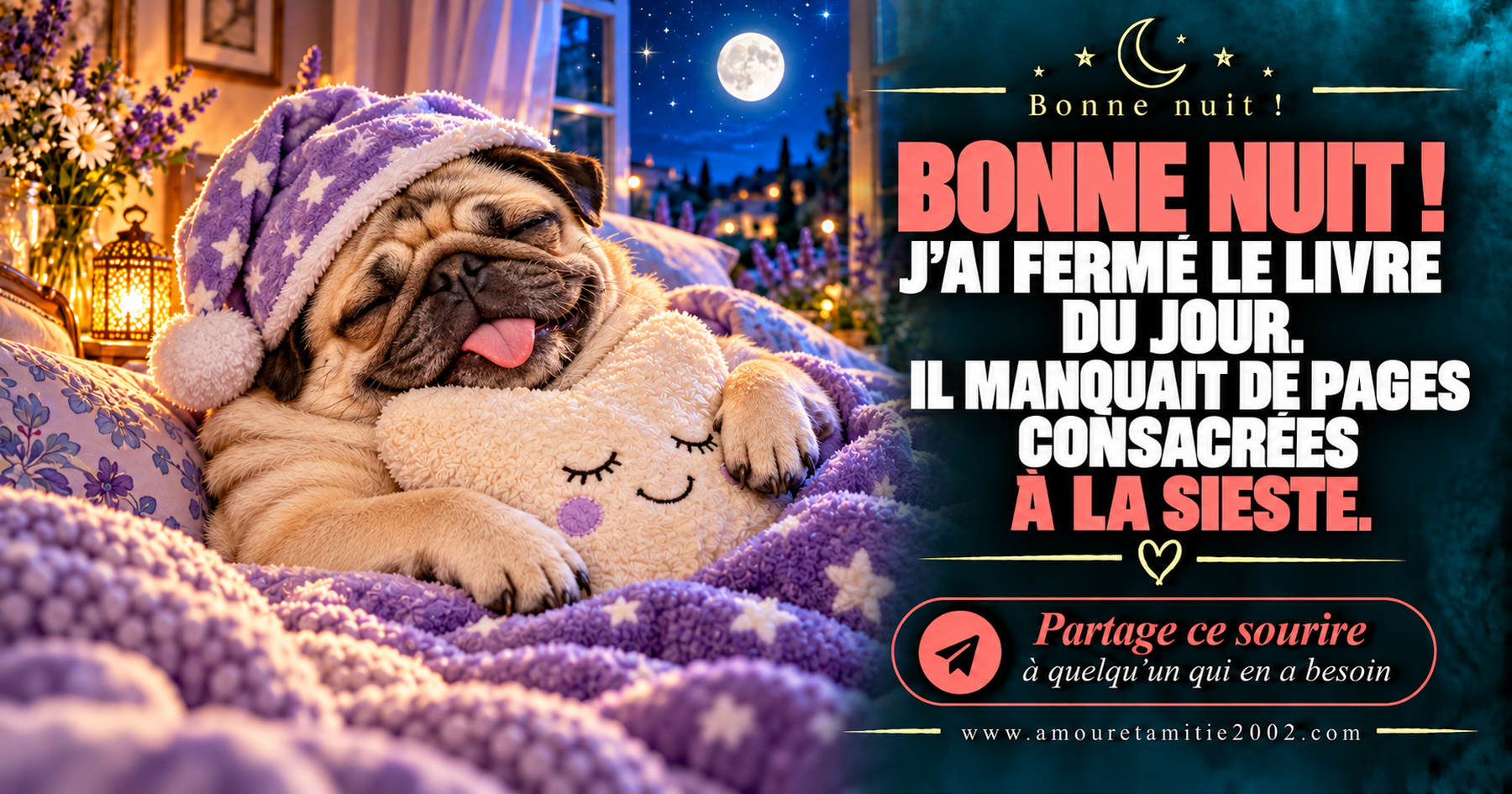Bonne nuit ! J’ai fermé le livre du jour. Il manquait de pages consacrées à la sieste.